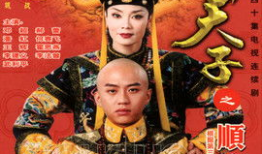 少年天子电视剧,宫廷风云中的青春传奇