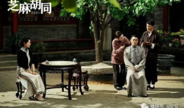 芝麻胡同电视剧,胡同里的岁月流转与人生百态